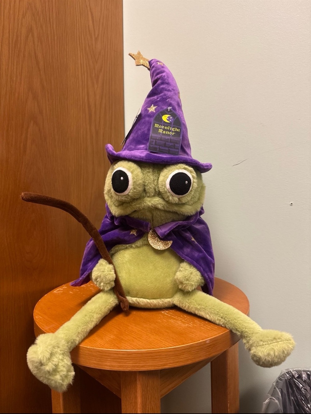 Moonlight Manor Halloween TikTok
Viral Wizard Frog Weighted Plush